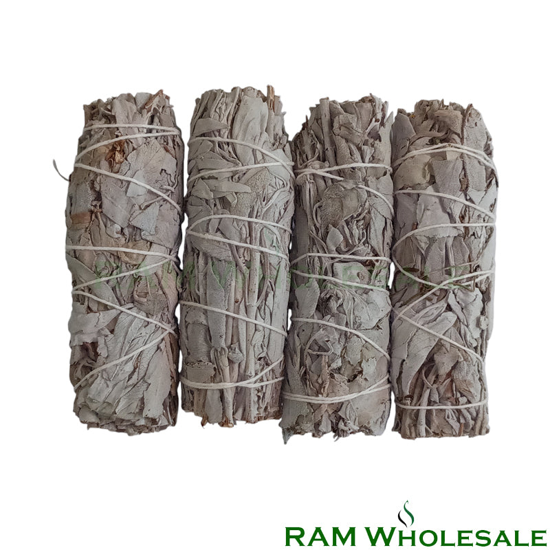 White Sage 5" / 4 Pack