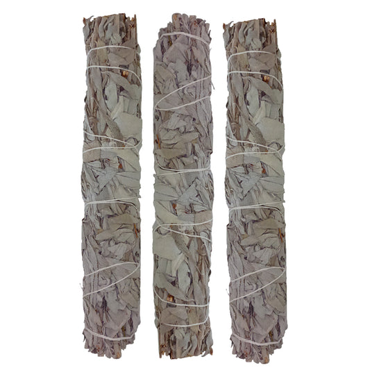 White Sage 9" / 3 Pack